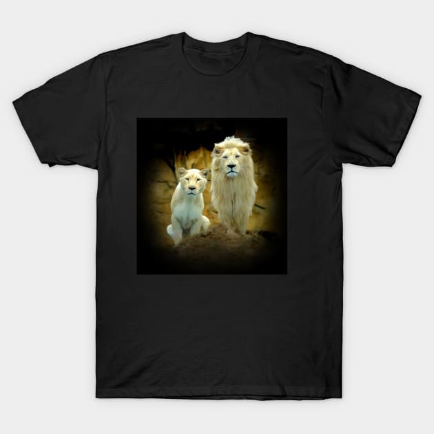 White lions T-Shirt by Guardi